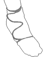 ankle wrap