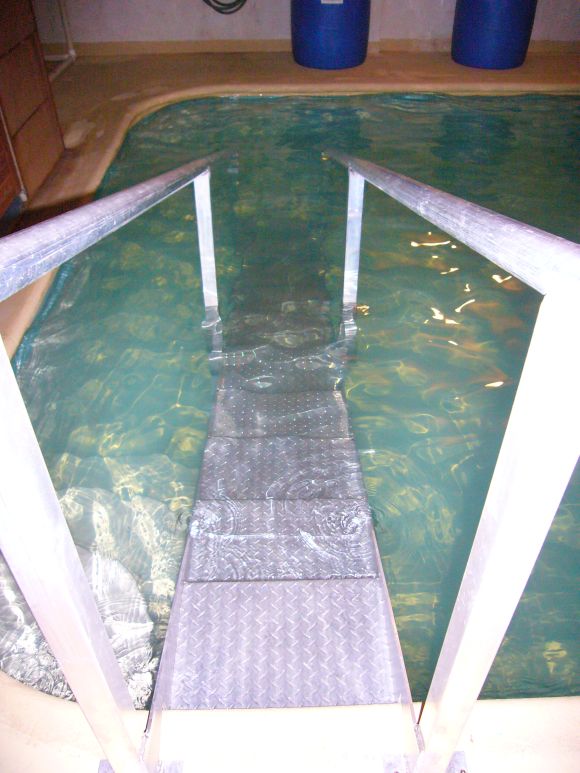 Top View of Accessibility Pool Steps with Reduced Riser Height